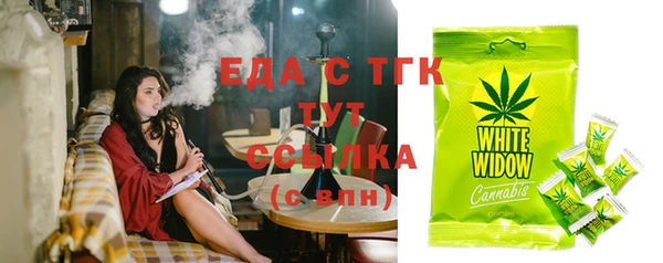индика Гусиноозёрск