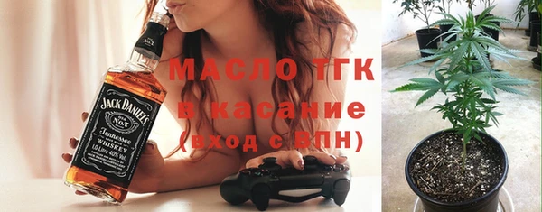 индика Гусиноозёрск