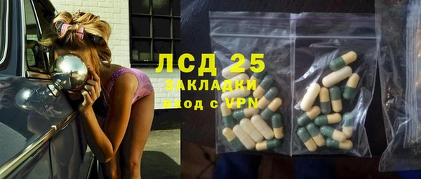 индика Гусиноозёрск