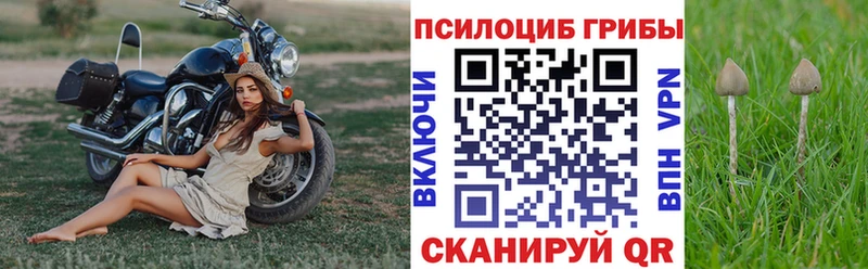 Псилоцибиновые грибы ЛСД Инза